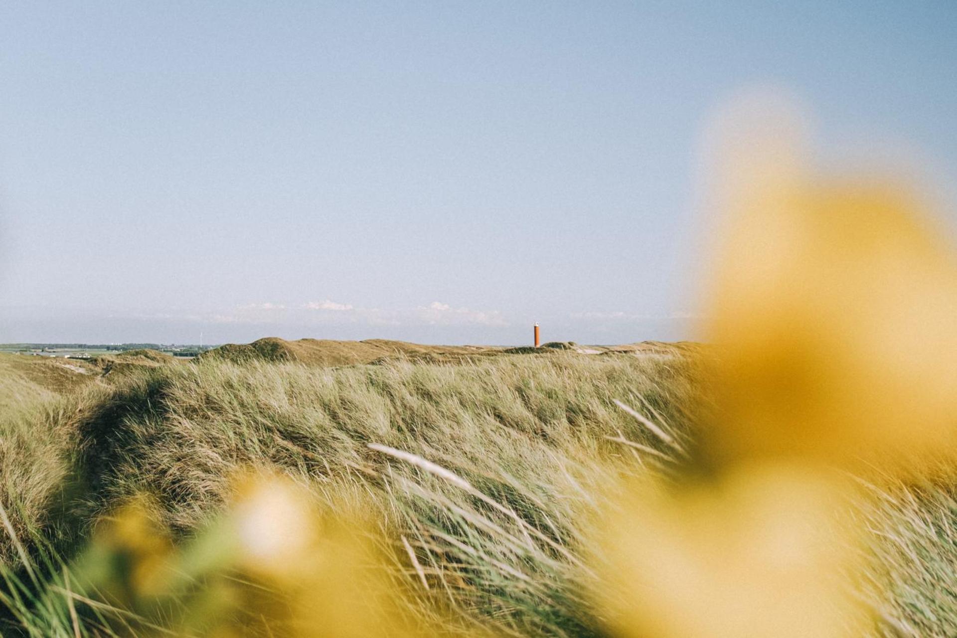 De Duintuin - In De Duinen, Groote Keeten Aan Zee Callantsoog Εξωτερικό φωτογραφία