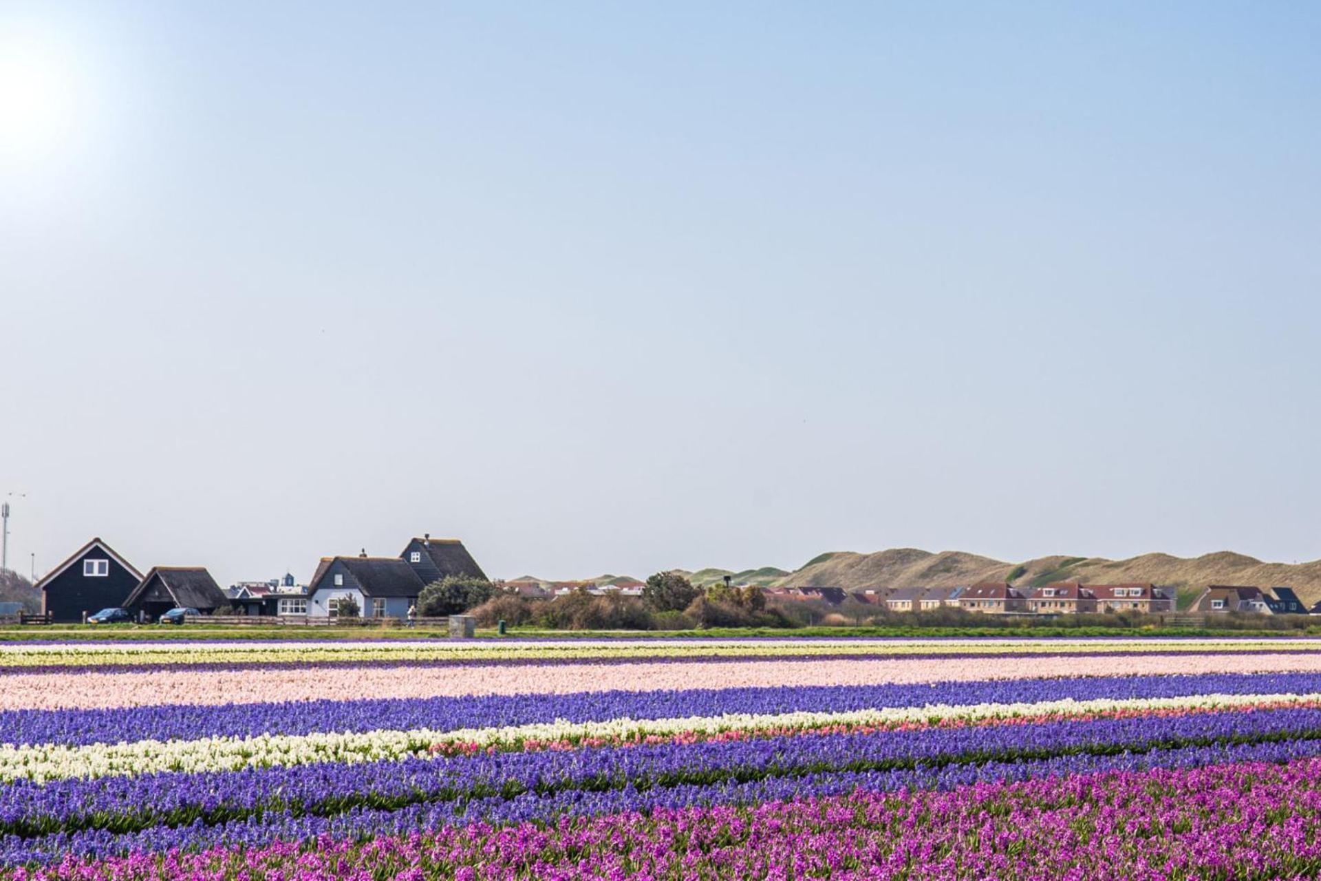 De Duintuin - In De Duinen, Groote Keeten Aan Zee Callantsoog Εξωτερικό φωτογραφία